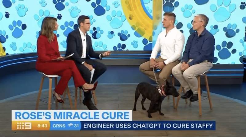 从绝望诊断到实验突破；一位工程师的AI抗癌之旅，引发科学界热烈争论。