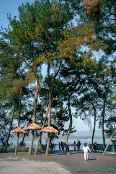  财报季热议不断，阳光保险业绩稳健增长；众安在线实现盈利转折，金融监管举措频出。 股票财经 财报季热议不断，阳光保险业绩稳健增长；众安在线实现盈利转折，金融监管举措频出。 股票财经 财报季热议不断，阳光保险业绩稳健增长；众安在线实现盈利转折，金融监管举措频出。 股票财经