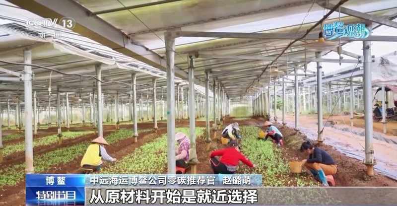  从渔村蝶变到零碳样板；博鳌绿色科技展现中国担当。 文化旅游