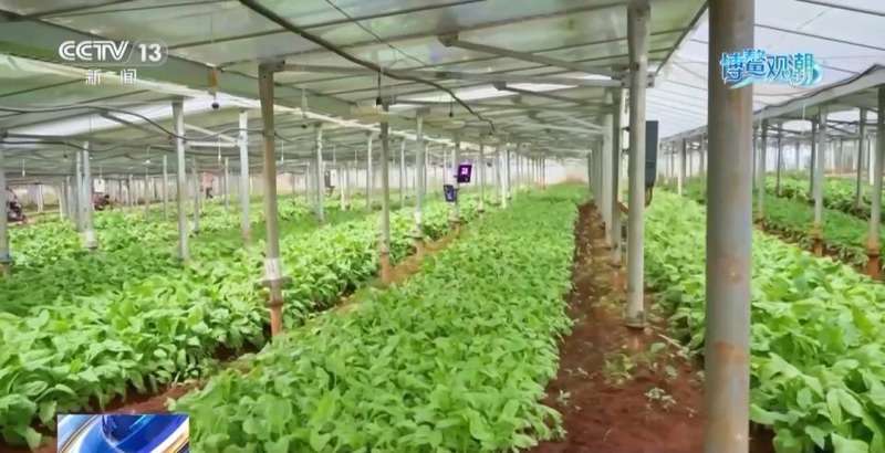  从渔村蝶变到零碳样板；博鳌绿色科技展现中国担当。 文化旅游