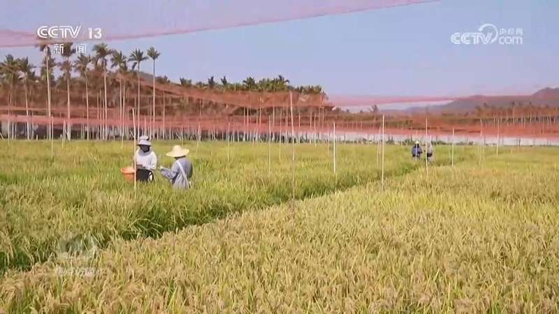  传统农业并非落后，科技重构的是土地的哲学命题 IT技术 传统农业并非落后，科技重构的是土地的哲学命题 IT技术 传统农业并非落后，科技重构的是土地的哲学命题 IT技术