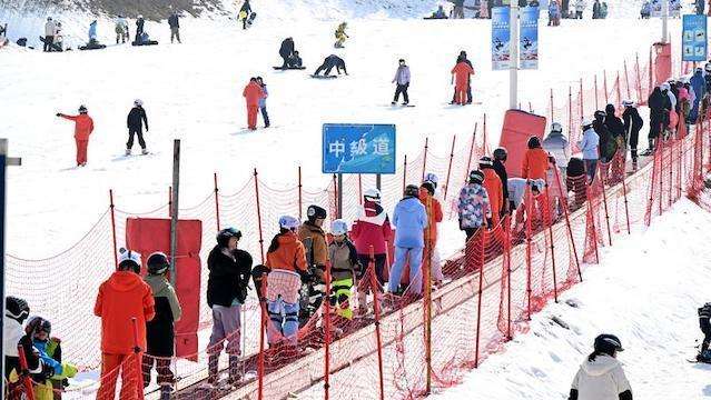  数字生活新图景：这份重磅文件如何让平凡日子悄然改变 新闻