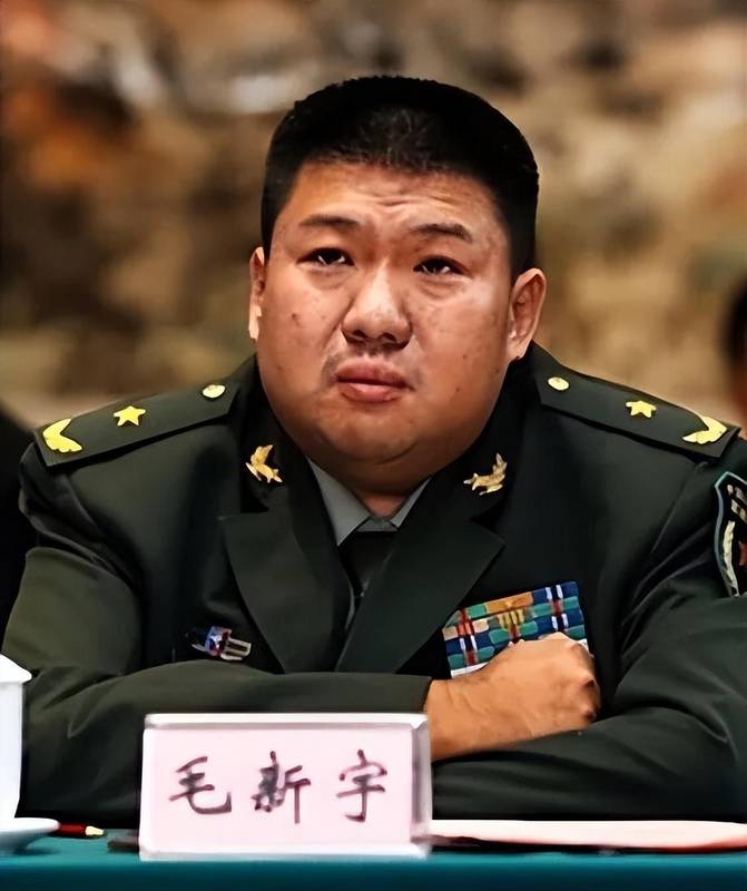 从人大历史系到军事科学院:毛新宇将军的学术与军旅之路 新闻