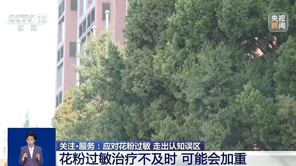 【深度解析】免疫失衡≠免疫力低下:花粉过敏认知盲区与科学应对策略 健康养生