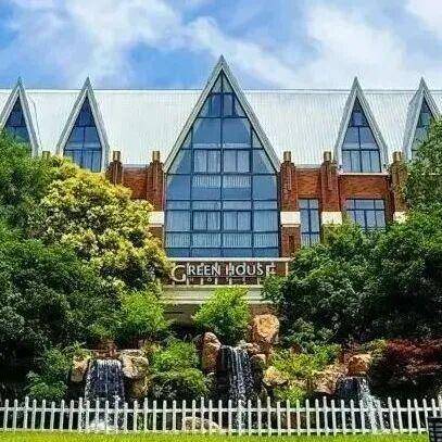  技术摄影视角：海湾国家森林公园樱花分布与拍摄攻略全解析 文化旅游