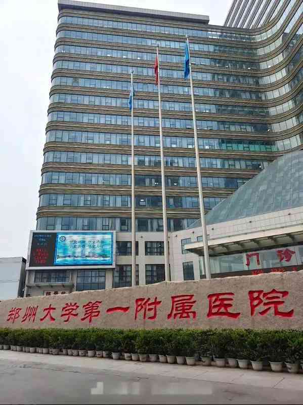  「那个让人又想逃又想留的城市——一位「郑漂」五年后的真实心声」 房产家居