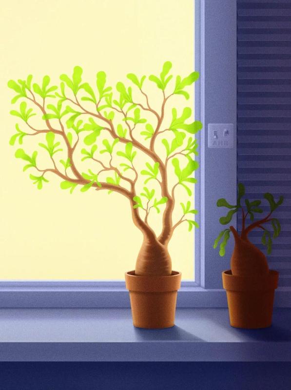  神经再生困局破冰：AhR分子“刹车”机制深度解析 新闻