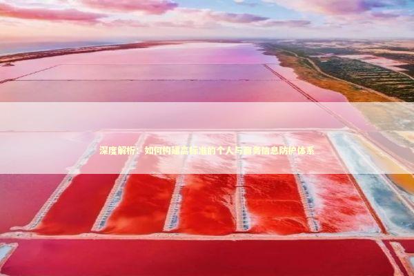 深度解析：如何构建高标准的个人与商务信息防护体系 IT技术