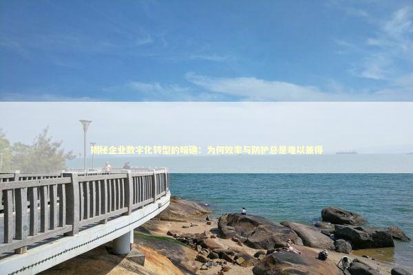 揭秘企业数字化转型的暗礁：为何效率与防护总是难以兼得 IT技术