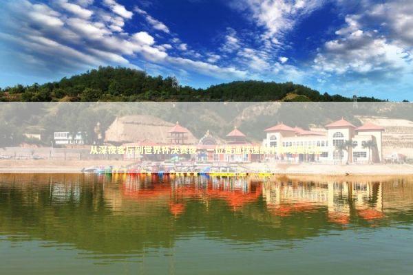 从深夜客厅到世界杯决赛夜：一位普通球迷的十年观赛记忆 体育新闻