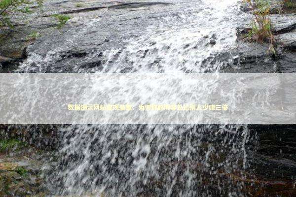 数据揭示网站变现差距：为何你的博客总比别人少赚三倍 IT技术