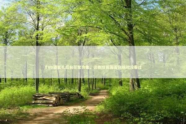 TVB颁奖礼后台花絮合集，这些珍贵画面你绝对没看过 娱乐新闻