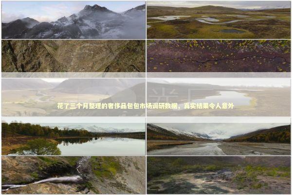 花了三个月整理的奢侈品包包市场调研数据，真实结果令人意外
