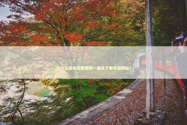 为什么我每周都要刷一遍这个奢侈品网站？ 时尚用品