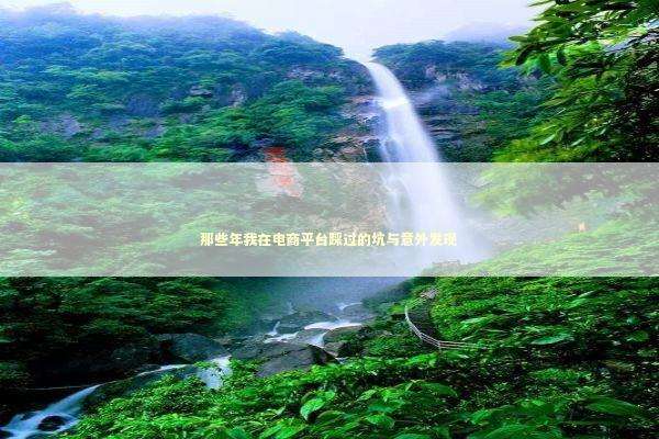 那些年我在电商平台踩过的坑与意外发现 企业服务