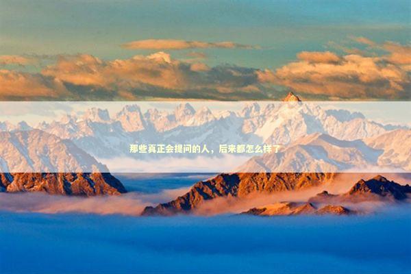 那些真正会提问的人，后来都怎么样了 企业服务