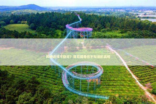 网络连接不稳定?背后藏着你不知道的真相 网络连接不稳定?背后藏着你不知道的真相 IT技术